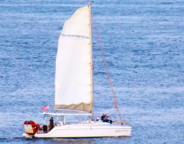 摄影 标题为“Sailing on Monterey…” 由Troy Wilson-Ripsom, 原创艺术品, 数码摄影