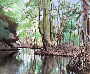 Mangrove en Baie de Samaná