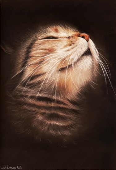 Peinture intitulée "Cannelle au soleil" par Cathy Cheneau, Œuvre d'art originale, Pastel