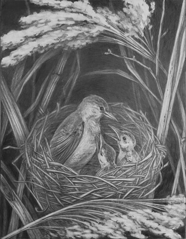 绘画 标题为“Birds” 由Olha Protsenko, 原创艺术品, 铅笔