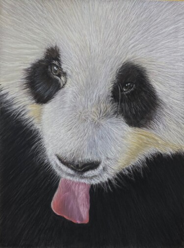 Schilderij getiteld "Le regard du Panda" door Eric Delesalle, Origineel Kunstwerk, Pastel