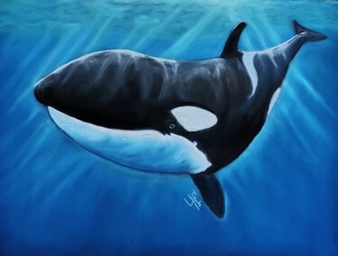 Painting titled "L'orque le super pr…" by Jennifer Tyrode, Original Artwork, Pastel
