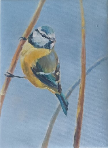 Peinture intitulée "mésange bleue huile…" par Chantal Signorini (C.Signorini), Œuvre d'art originale, Huile
