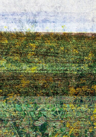 数字艺术 标题为“Colzmogol’s Colors…” 由Marcelle Delacité, 原创艺术品, 数字油画