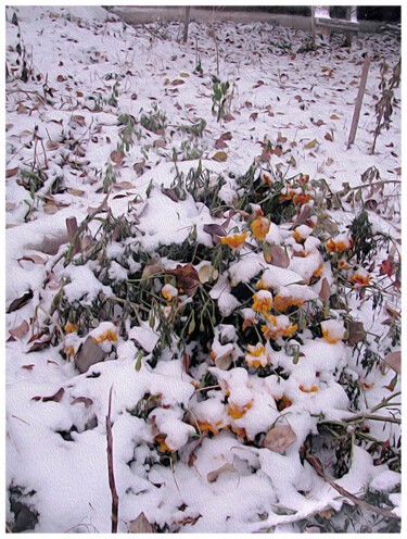 Digital Arts titled "первый снег  first…" by Dima Dima Vil Ms Wilms (Rok Zivopisec Rock Painter), Original Artwork, Manipula…