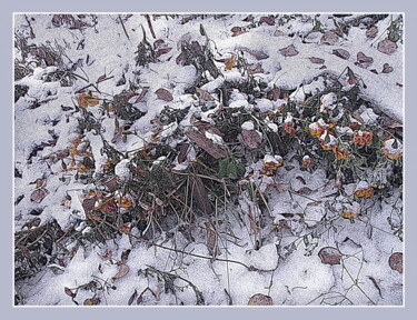 Digital Arts titled "первый снег  first…" by Dima Dima Vil Ms Wilms (Rok Zivopisec Rock Painter), Original Artwork, Manipula…