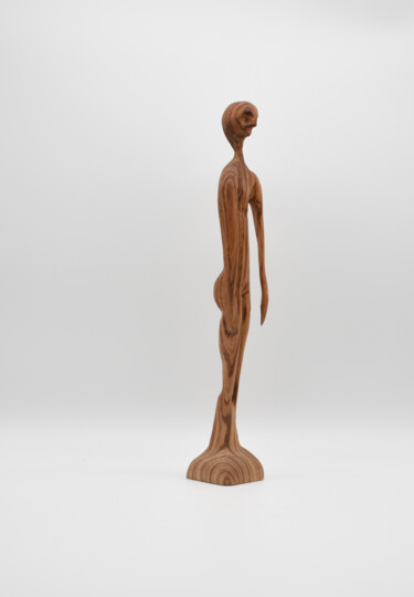 Scultura intitolato "Zebranomann" da Sylvia Gnatz, Opera d'arte originale, Legno