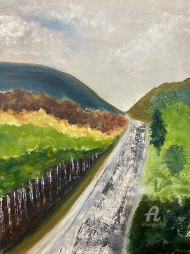 绘画 标题为“Valleys” 由Steve Phillips, 原创艺术品, 油
