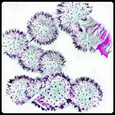 Digitale Kunst getiteld "DANDELIONS IN THE D…" door Go.Rk.Art, Origineel Kunstwerk, 2D Digital Work