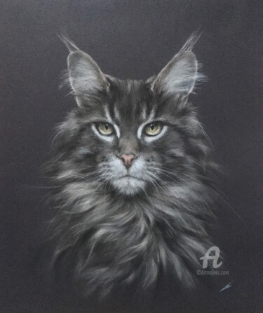 "Maine Coon" başlıklı Resim Irene_art tarafından, Orijinal sanat, Pastel