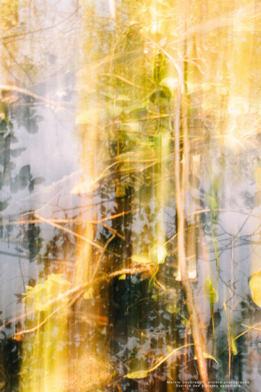 Photography titled "Abstraction" by Martin Gaudreault, Original Artwork, Digital Photography