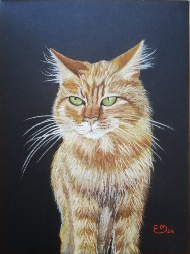 Dessin intitulée "Chat européen" par Élisa Brun, Œuvre d'art originale, Pastel Monté sur Châssis en bois