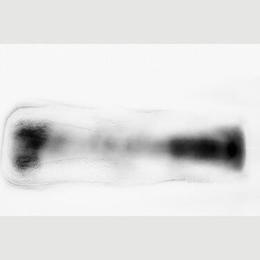 Mental Body_Animus / Yang Fotografia intitolato "Mental Body_Animus…" da Christelle Viviers, Opera d'arte originale, Fotografia digitale Montato su Al…