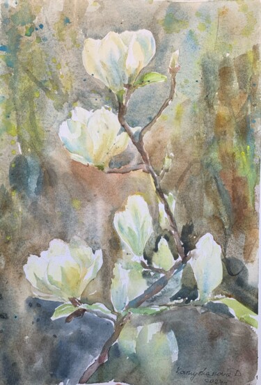 White magnolia (2024) Painting titled "White magnolia (202…" by Daria Kamishanova, Original Artwork, Watercolor
