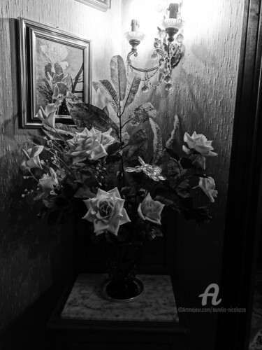 Photography titled "Composition noir et…" by Aurelio Nicolazzo, Original Artwork, Digital Photography