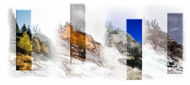 Photography titled "meadow views - Summ…" by John Stevenson, Original Artwork