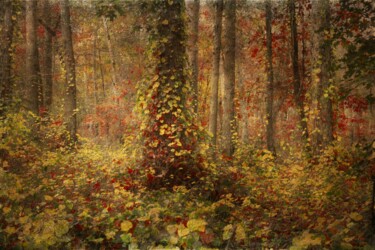 Photographie intitulée "Avec les fées (3)" par Catherine Péré, Œuvre d'art originale, Photographie numérique