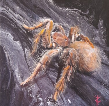 绘画 标题为“"Theraphosa blondi"” 由Sam Afonso, 原创艺术品, 丙烯