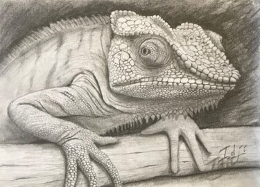Drawing titled "Calméléon" by Eric Garnier (Idji), Original Artwork, Graphite