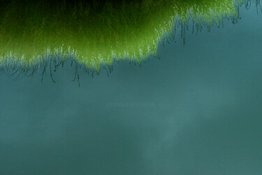 Fotografie getiteld "La tête dans les nu…" door Elisabeth Laplante, Origineel Kunstwerk, Digitale fotografie