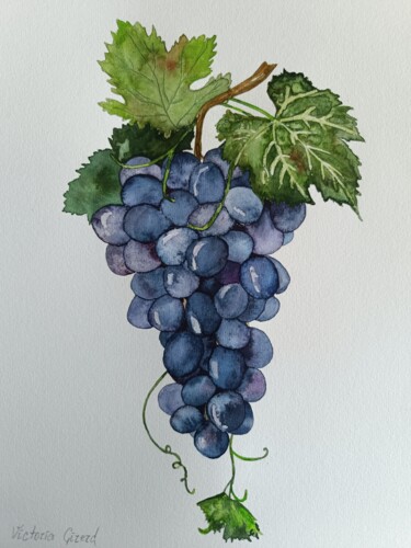 Peinture intitulée "Le Raisin à l'aquar…" par Victoria Girerd, Œuvre d'art originale, Aquarelle