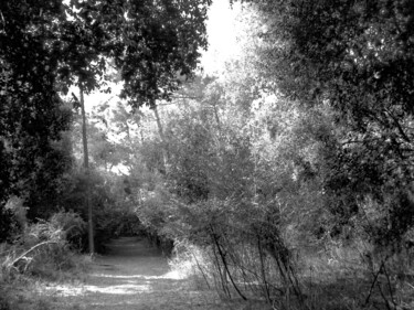 Photography titled "Path of thought" by Irvin Grassi, Original Artwork, Digital Photography