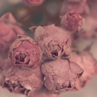 摄影 标题为“Flowerissimo_13903” 由Michael Vdovin, 原创艺术品, 数码摄影