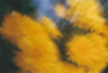 Fotografie getiteld "Yellow flowers (pin…" door Sandra Willendorf, Origineel Kunstwerk, Niet gemanipuleerde fotografie