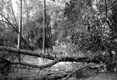 Photography titled "Old path" by Irvin Grassi, Original Artwork, Digital Photography