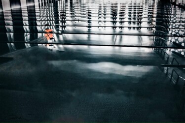 摄影 标题为“Corailleur” 由Mélanie Stéphanie Massé Artiste, 原创艺术品, 光绘摄影