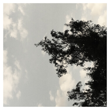摄影 标题为“a tree and the sky” 由Zheka Khalétsky, 原创艺术品, 非操纵摄影