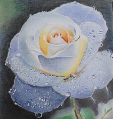 图画 标题为“Dew drops on white…” 由Kamal Raj Thakur Utsav Thakur, 原创艺术品, 铅笔