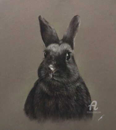 Cute bunny Tekening getiteld "Cute bunny" door Irene_art, Origineel Kunstwerk, Pastel