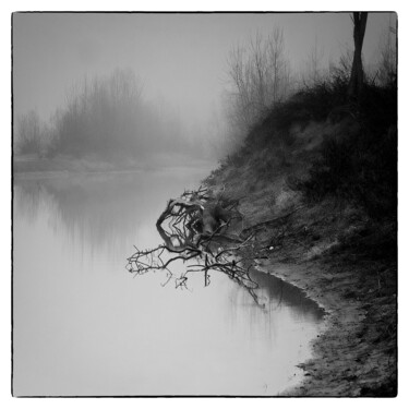 Fotografie mit dem Titel "Genesi" von Michele Viscuso, Original-Kunstwerk, Digitale Fotografie