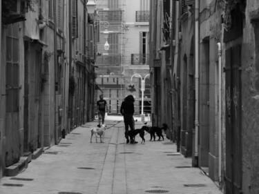 Photography titled "Toulon,les chiens" by Patrick Lalande, Original Artwork, Digital Photography