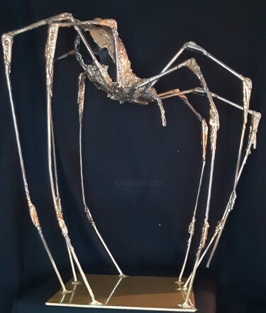 Sculpture intitulée "arachiméde" par Michel Marzin, Œuvre d'art originale, Métaux