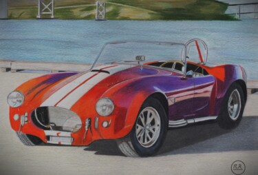 Schelby Cobra (427)