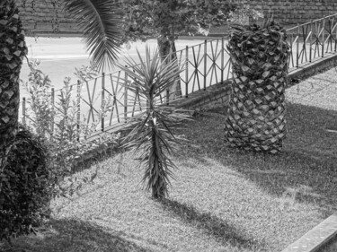 Photography titled "La paume morte" by Aurelio Nicolazzo, Original Artwork, Digital Photography