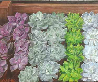 Pintura titulada "Suculentas (Succule…" por Cristina Del Rosso, Obra de arte original, Oleo