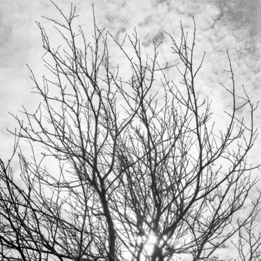 Fotografia intitolato "Analogic photograph…" da Fabiana Chiarelli, Opera d'arte originale, fotografia a pellicola