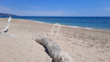 제목이 "Sur la plage"인 사진 Monique Pouzet로, 원작, 조작되지 않은 사진