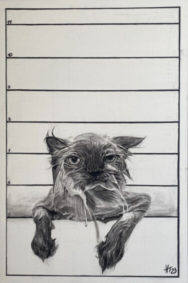 Drawing titled "Angry Cat" by Hanne Tuytelaers, Original Artwork, Charcoal Mounted on Wood Panel