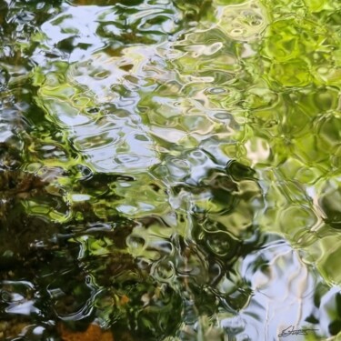 Photographie intitulée "Nuances 3" par Sylvie Chapuis, Œuvre d'art originale, Photographie non manipulée