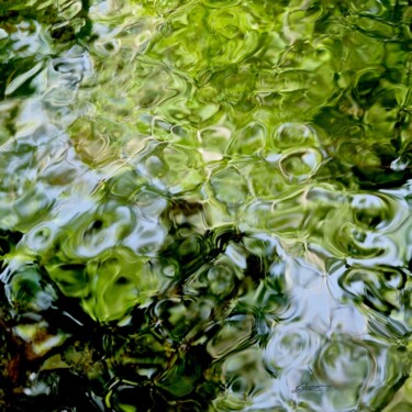 Photographie intitulée "Nuances 6" par Sylvie Chapuis, Œuvre d'art originale, Photographie non manipulée
