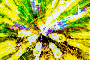 Photography titled "Abstrait floral 6-2…" by Rosalina Vaz, Original Artwork, Digital Photography