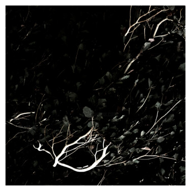 Photography titled "I (grey)" by Zheka Khalétsky, Original Artwork, Non Manipulated Photography