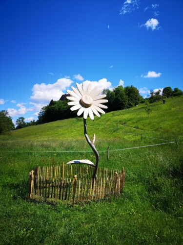 Fotografie getiteld "Special flower" door Carola Mantzsch (Carma), Origineel Kunstwerk, Niet gemanipuleerde fotografie