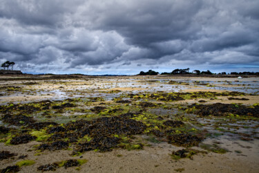 Carantec l'estran depuis la chaise du curé. Photographie intitulée "Carantec l'estran d…" par Thierry Martin, Œuvre d'art originale, Photographie numérique