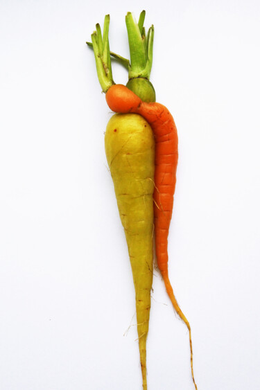 Photographie intitulée "Carrot. Meeting. Pa…" par Nina Karymova (Nino), Œuvre d'art originale, Photographie non manipulée
