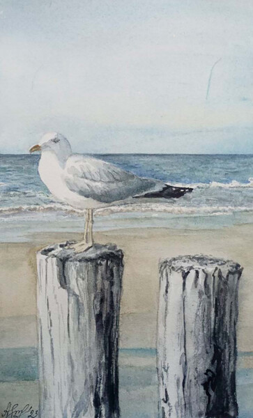 绘画 标题为“Gull on a seashore” 由Hanna Samoilenko, 原创艺术品, 水彩
